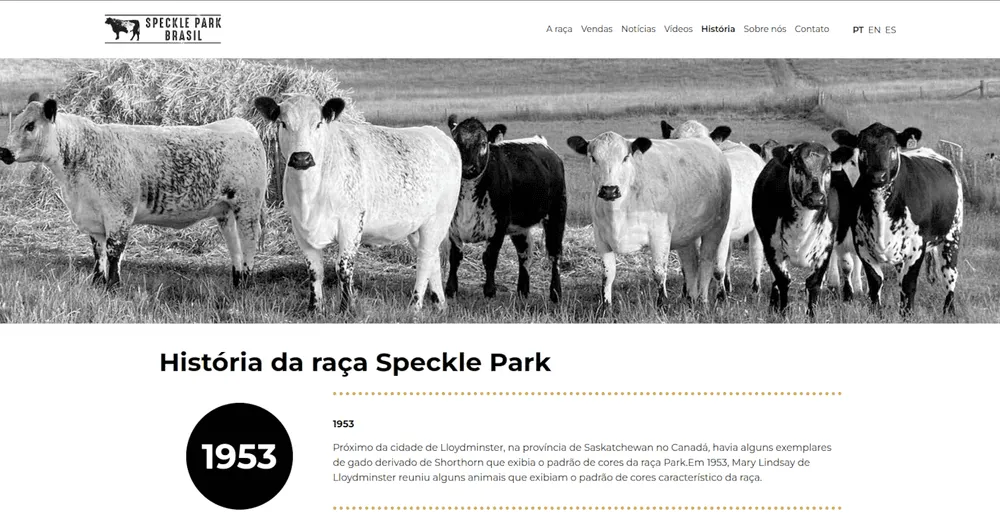 Speckle Park Brasil