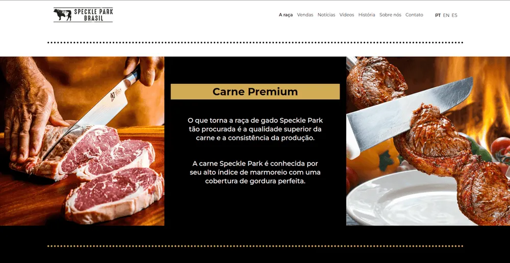 Speckle Park Brasil